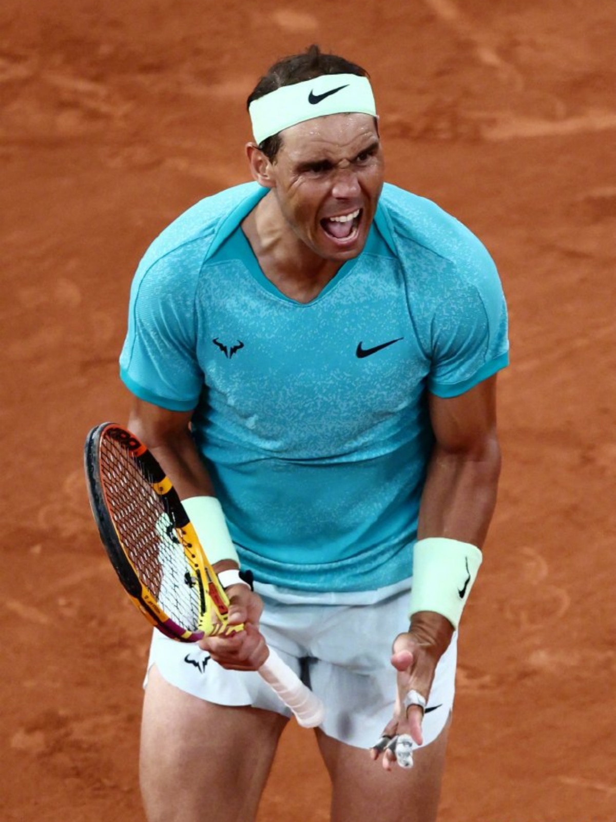 纳达尔新星问鼎冠军表现惊艳，法国队未来可期！的简单介绍