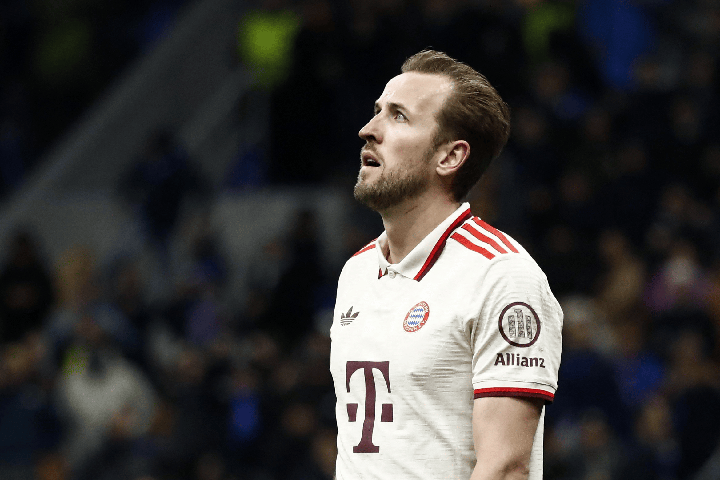 雷速-凯恩连续七场比赛得分超过高光表现，TL挑战极限！的简单介绍