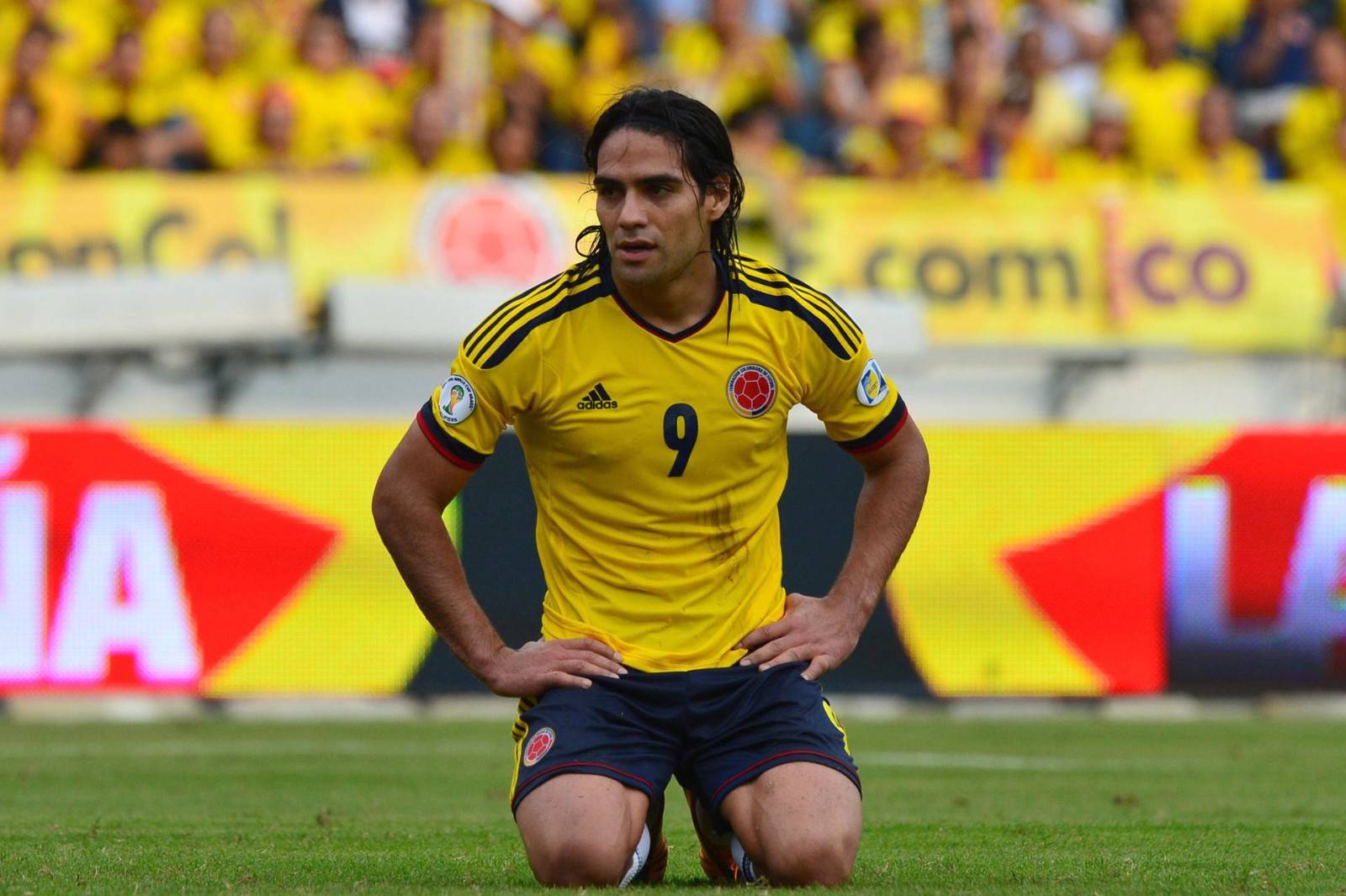 雷速- 科维托娃比赛视频 